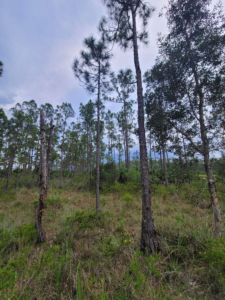 0.25 Acres of Land for Sale in Indiantown, Florida