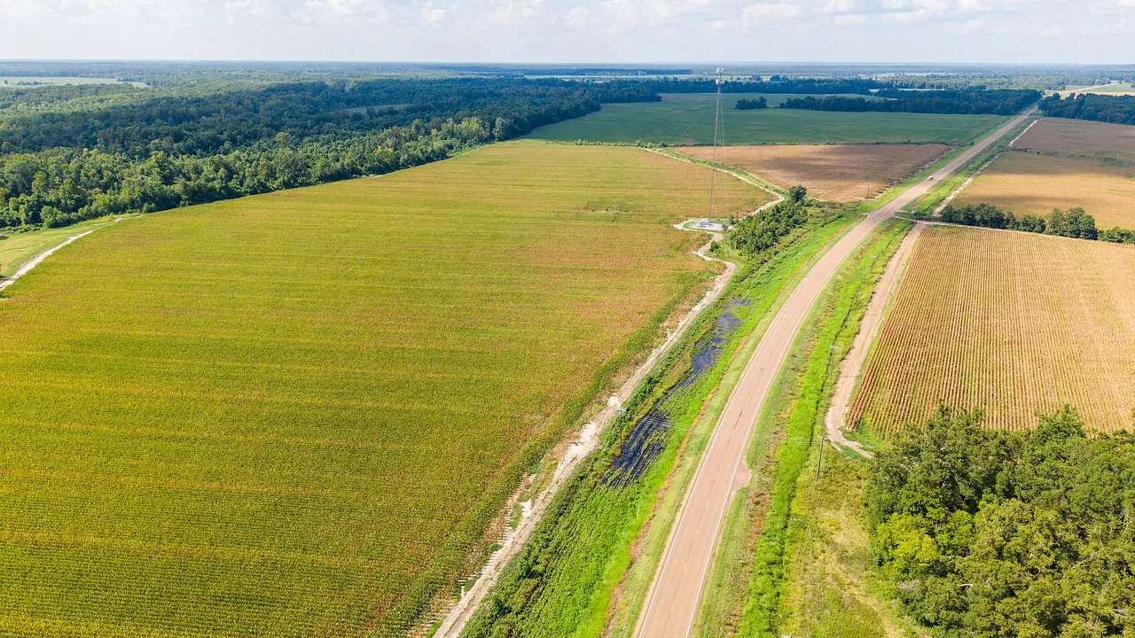 278 Acres of Land for Sale in Greenwood, Mississippi