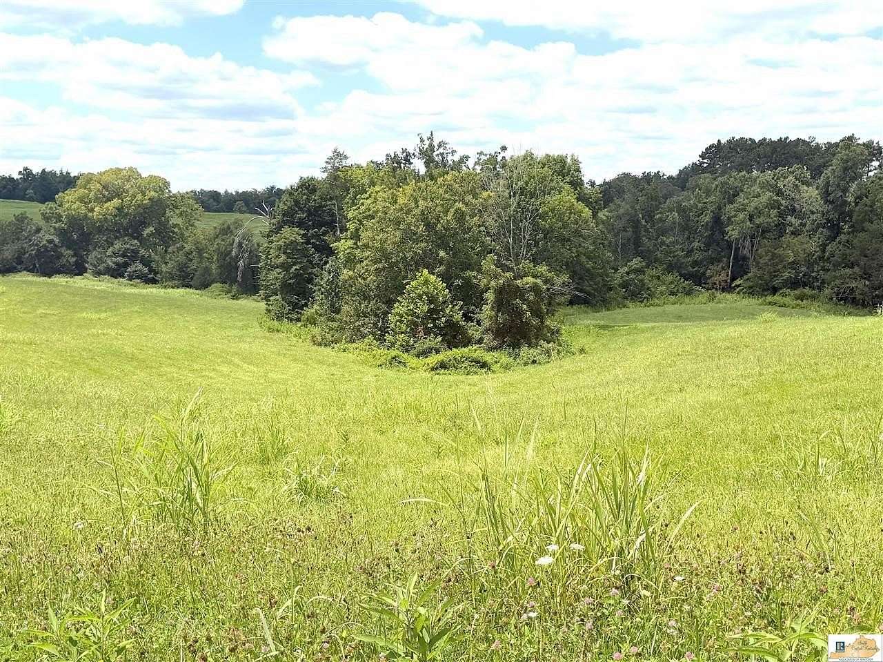 14.7 Acres of Recreational & Residential Land for Sale in Jamestown, Kentucky