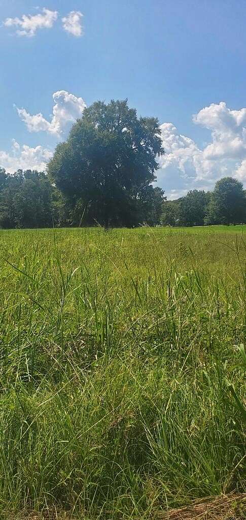 0.83 Acres of Land for Sale in Chappells, South Carolina