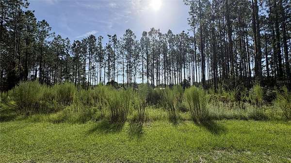0.83 Acres of Residential Land for Sale in High Springs, Florida