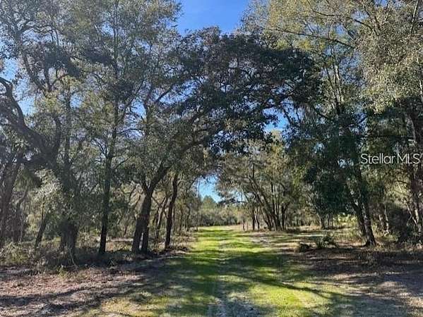 16.2 Acres of Recreational Land for Sale in Fort McCoy, Florida