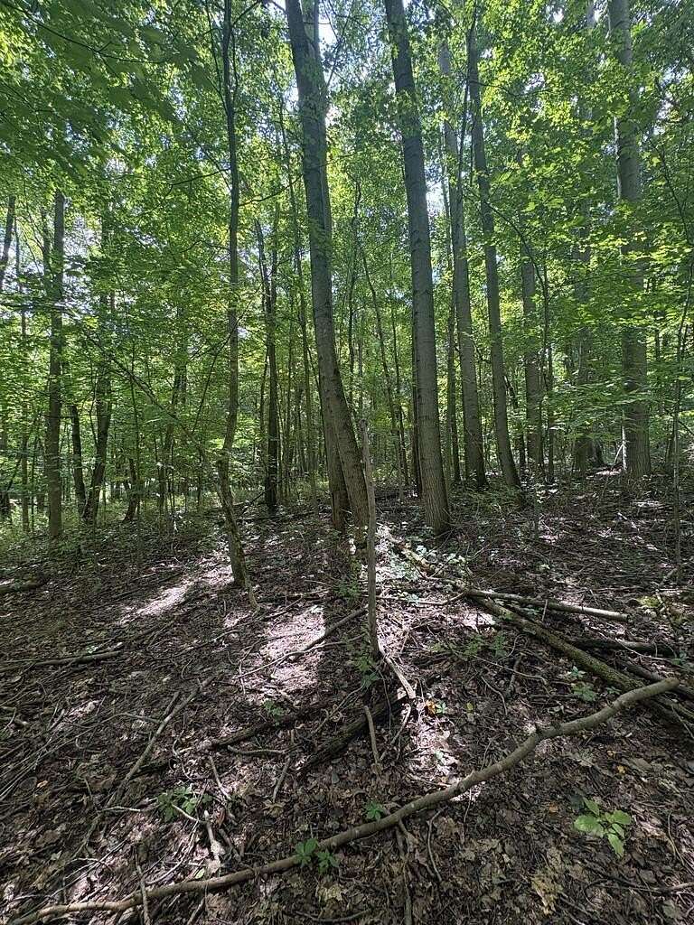 5 Acres of Residential Land for Sale in Bellville, Ohio