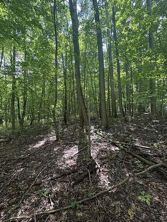 5 Acres of Residential Land for Sale in Bellville, Ohio