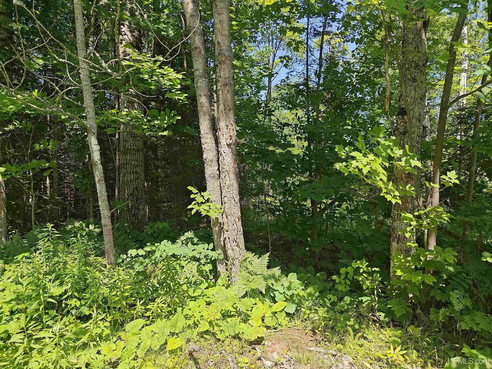 80 Acres of Recreational Land for Sale in Ontonagon, Michigan
