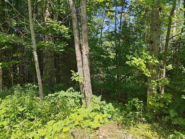 80 Acres of Recreational Land for Sale in Ontonagon, Michigan