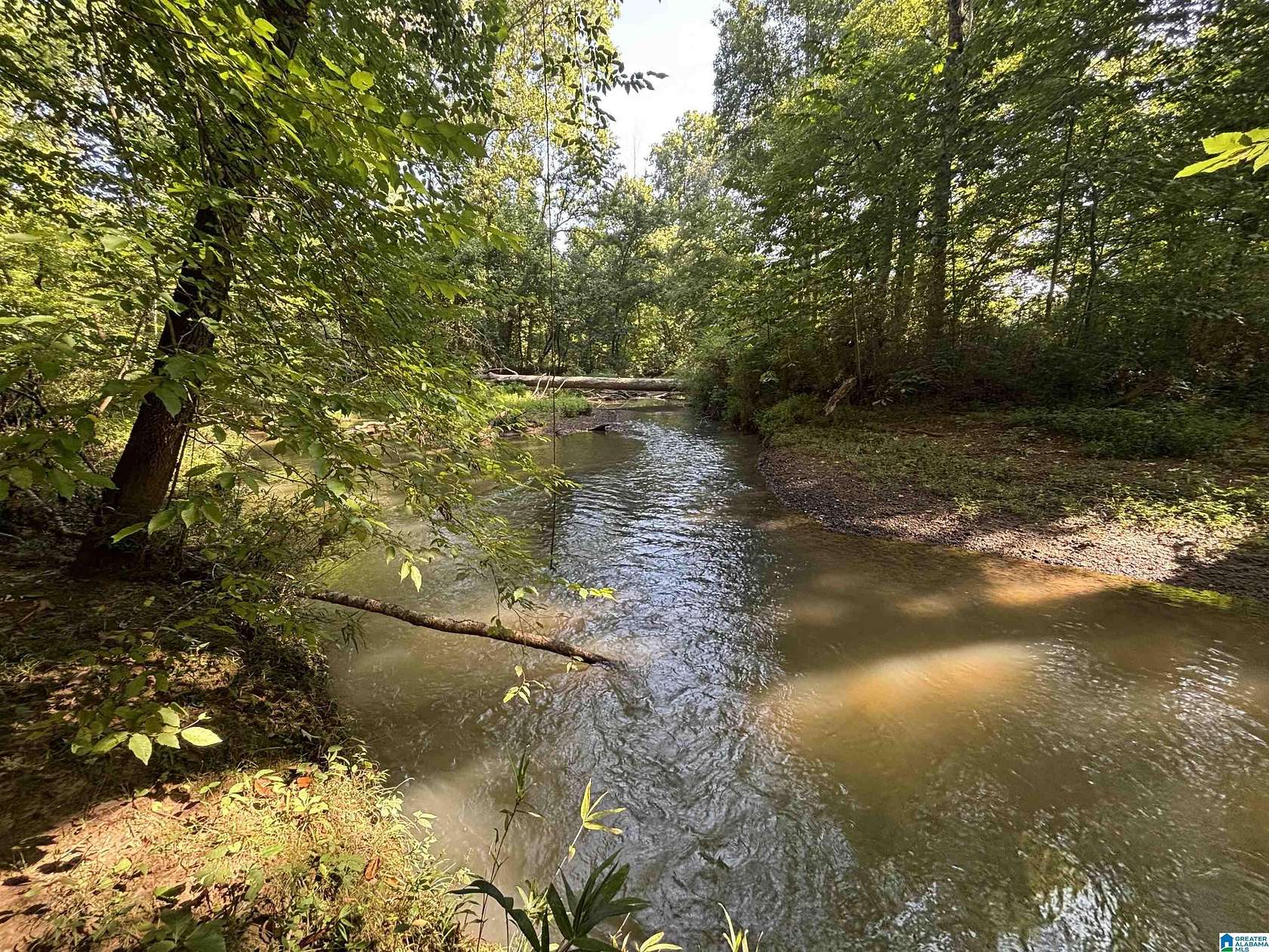 34.3 Acres of Recreational & Residential Land for Sale in Springville, Alabama