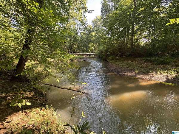 34.3 Acres of Recreational & Residential Land for Sale in Springville, Alabama