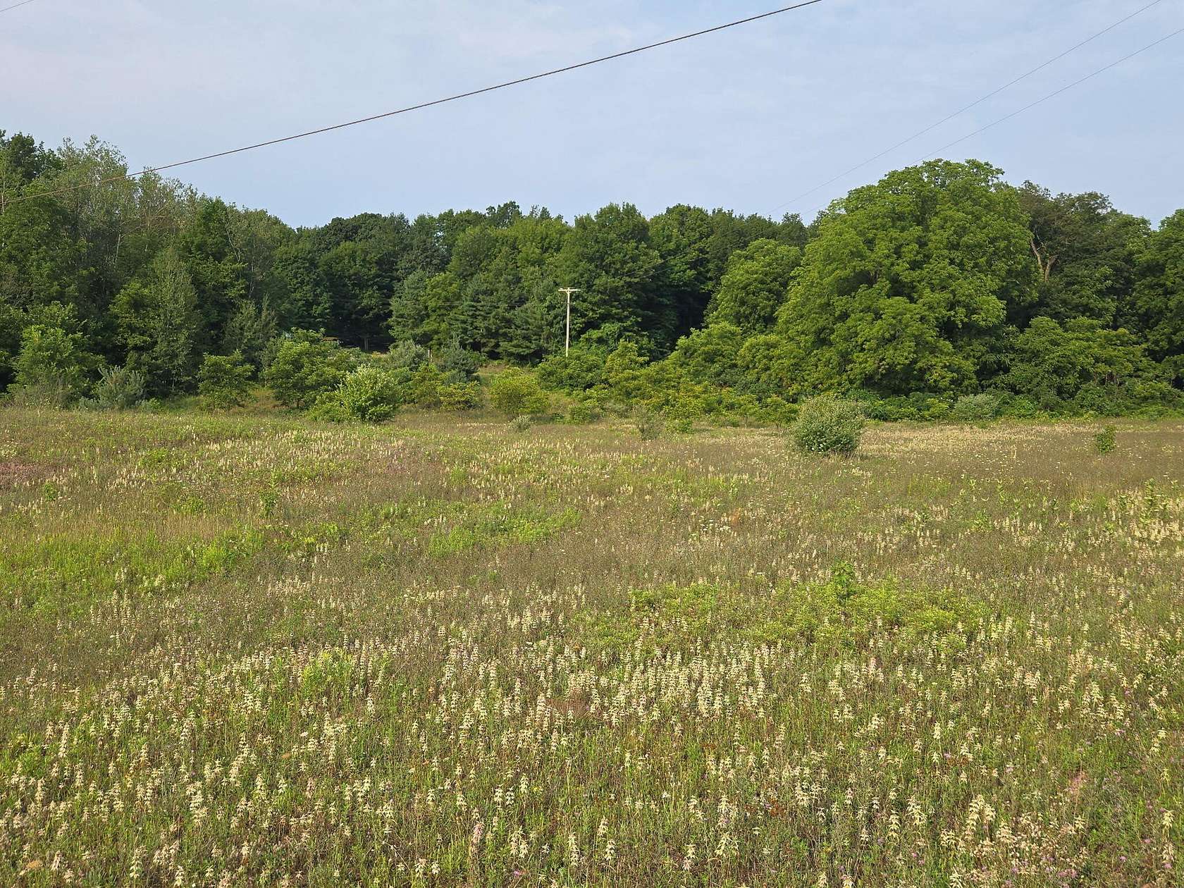3.33 Acres of Residential Land for Sale in Hart, Michigan