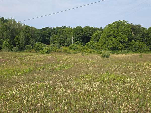 3.33 Acres of Residential Land for Sale in Hart, Michigan