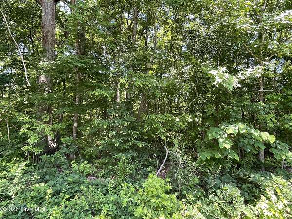 3.44 Acres of Residential Land for Sale in Burlington, North Carolina