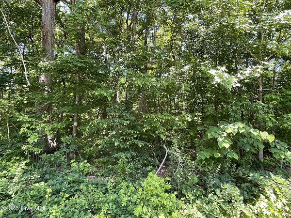5 Acres of Residential Land for Sale in Burlington, North Carolina