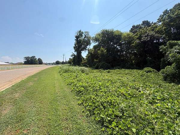 15.3 Acres of Land for Sale in Moundville, Alabama