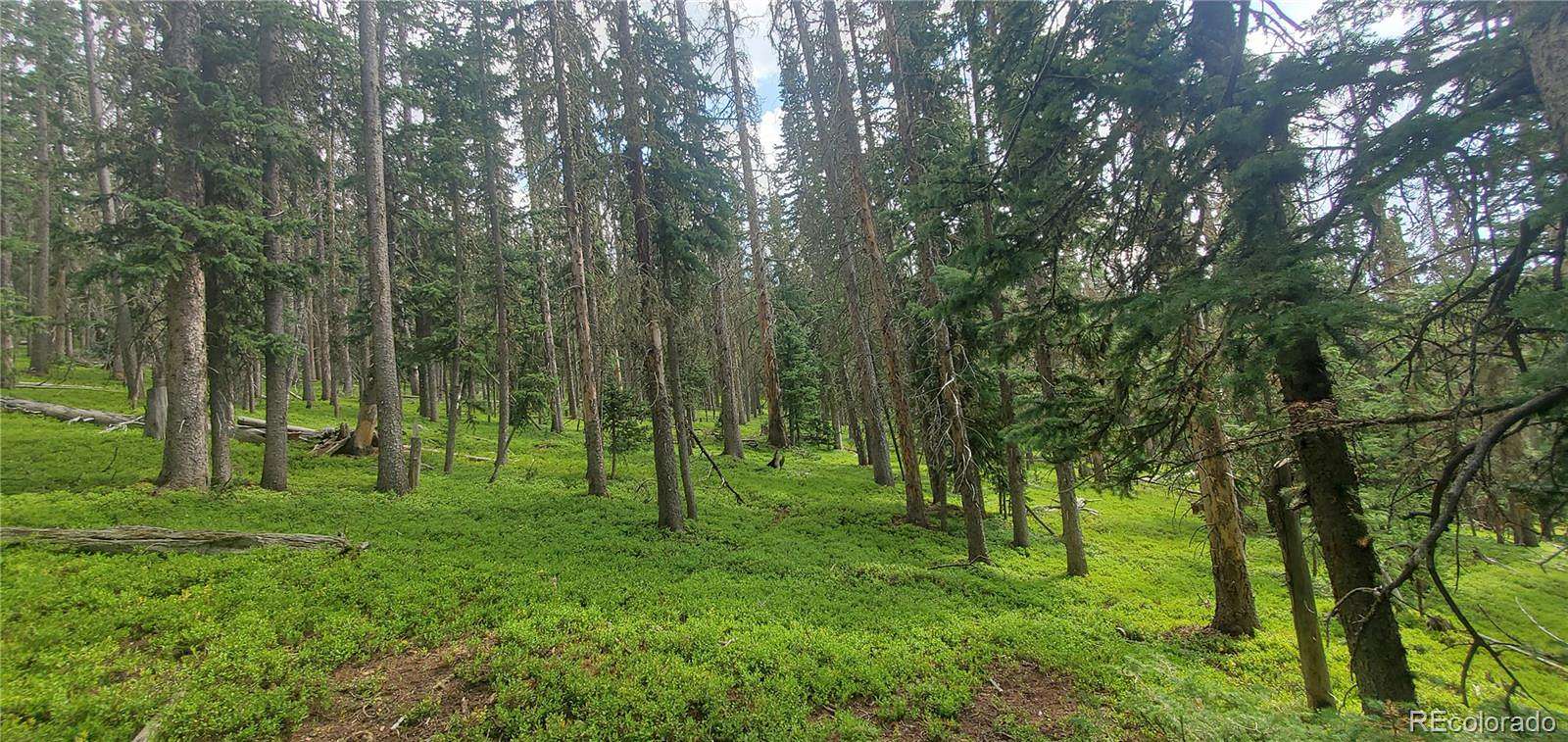 5.7 Acres of Residential Land for Sale in Fort Garland, Colorado