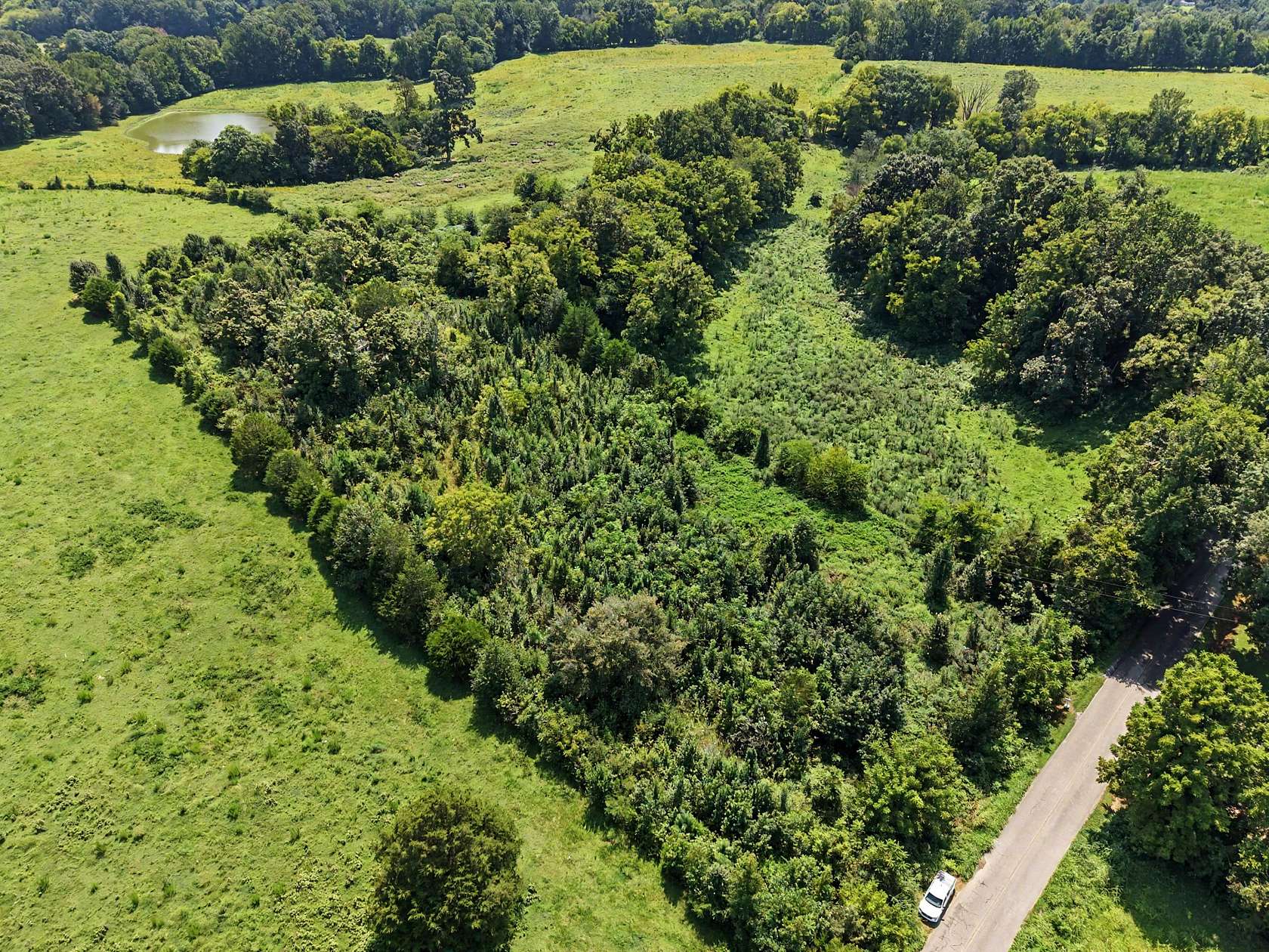 3 Acres of Residential Land for Sale in Prospect, Tennessee