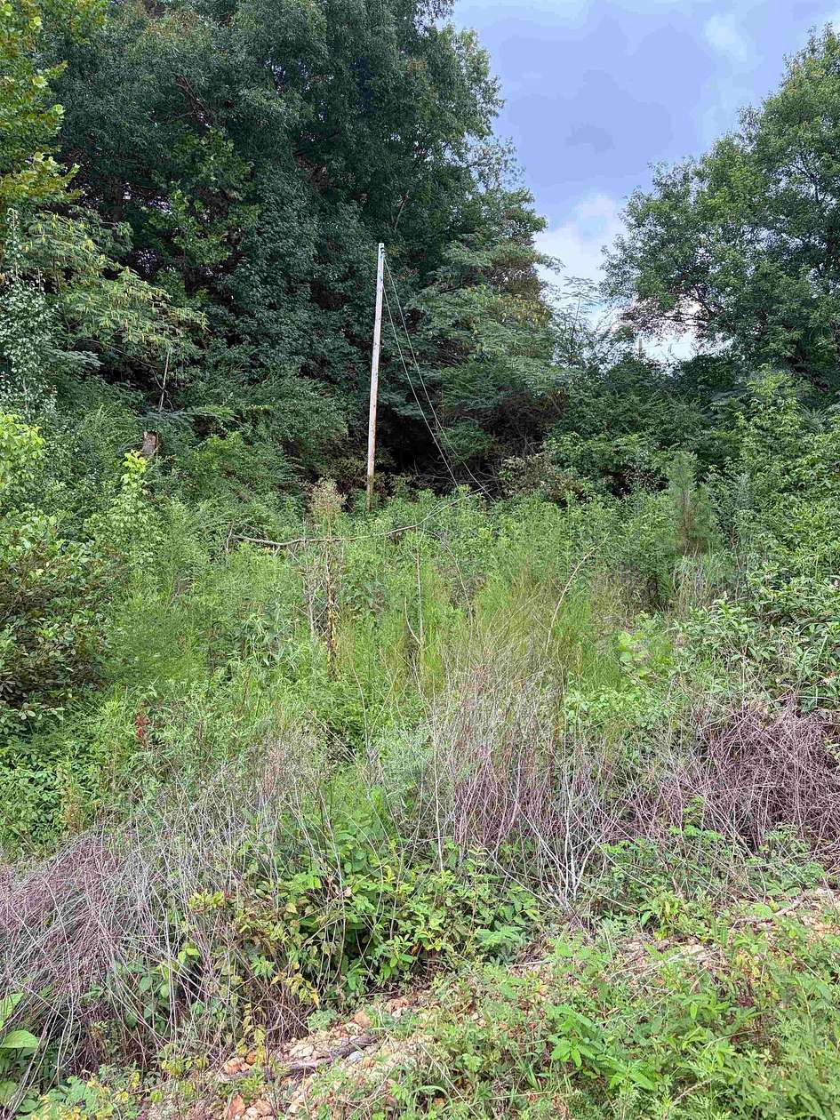 3 Acres of Residential Land for Sale in Waterloo, Alabama
