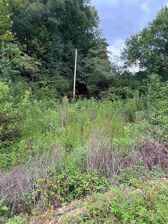 3 Acres of Residential Land for Sale in Waterloo, Alabama