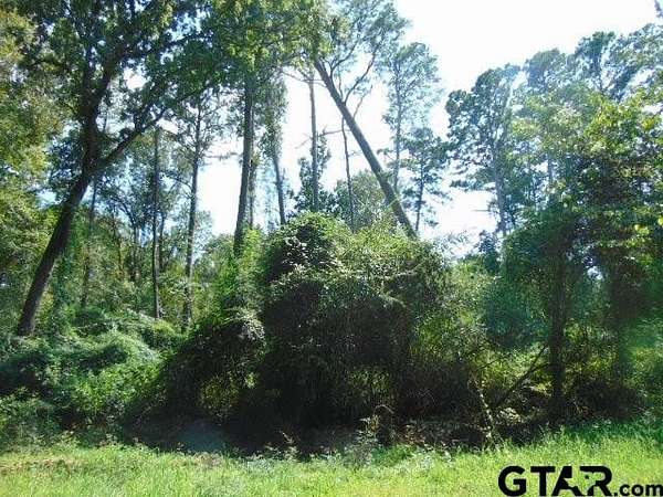 0.24 Acres of Land for Sale in Bullard, Texas
