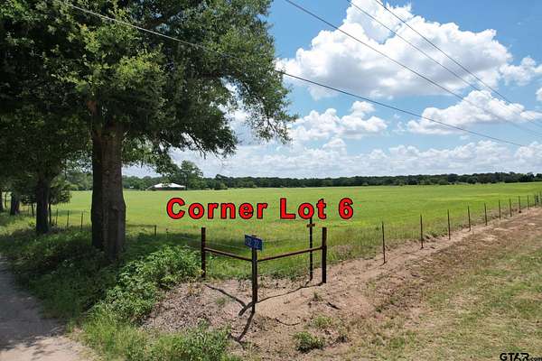 1 Acre of Residential Land for Sale in Wills Point, Texas