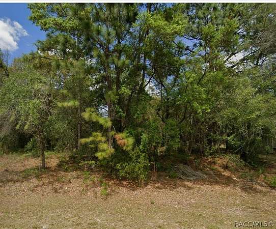 0.26 Acres of Residential Land for Sale in Dunnellon, Florida