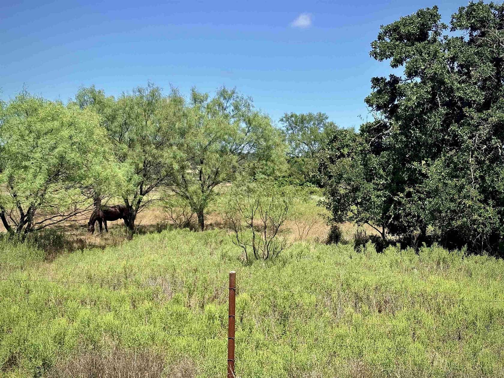 5 Acres of Residential Land for Sale in Valley Spring, Texas
