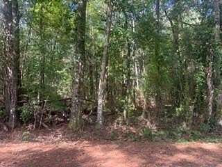 6 Acres of Land for Sale in Bush, Louisiana