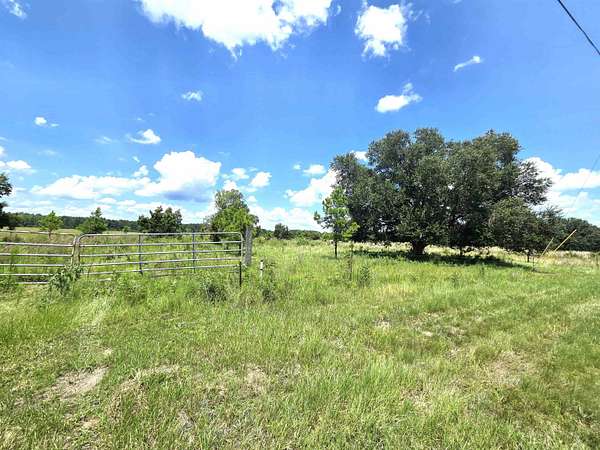 112 Acres of Land for Sale in Bristol, Florida