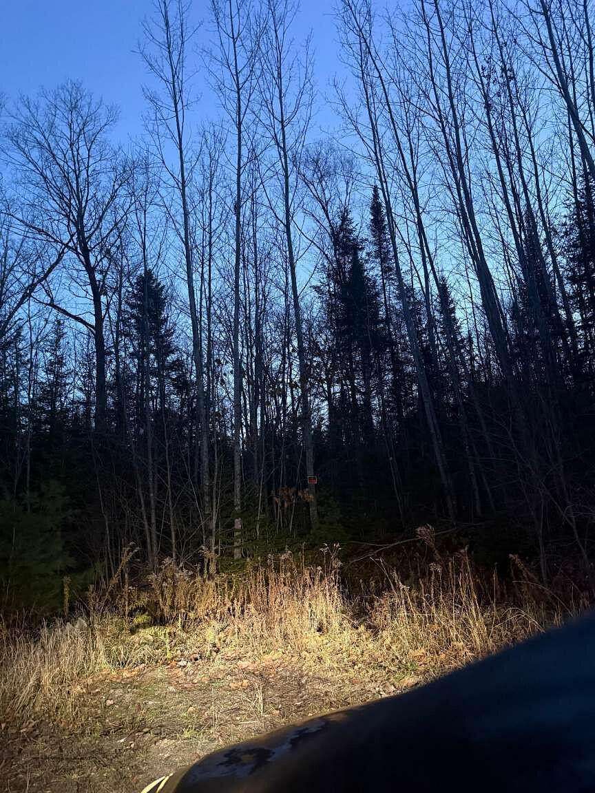 28.8 Acres of Recreational & Residential Land for Sale in Lincoln, Maine