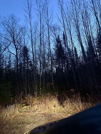 28.8 Acres of Recreational & Residential Land for Sale in Lincoln, Maine