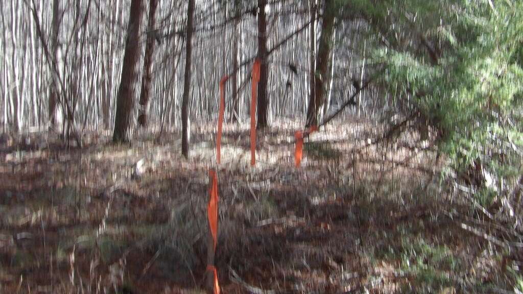 9.75 Acres of Residential Land for Sale in Spencer, Tennessee