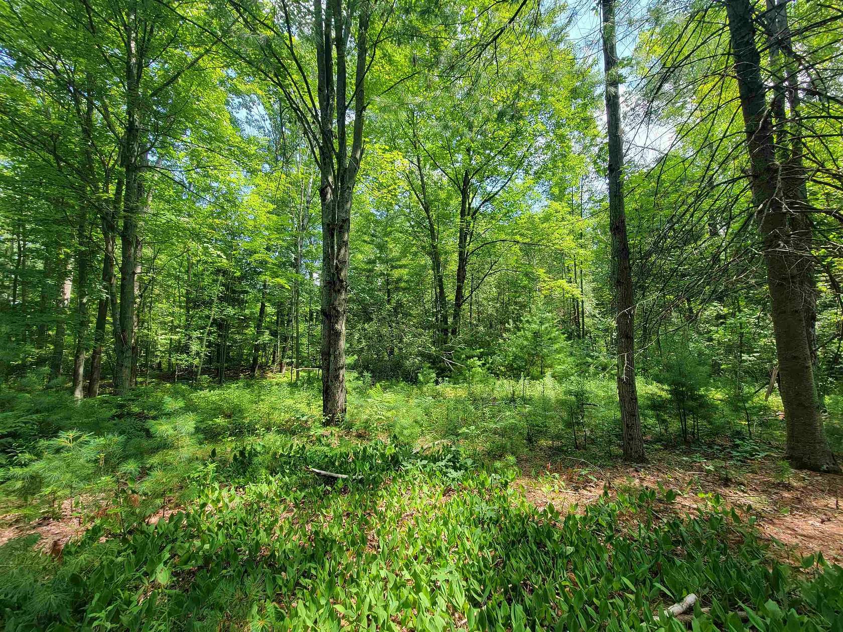 1 Acre of Residential Land for Sale in Beaverton, Michigan