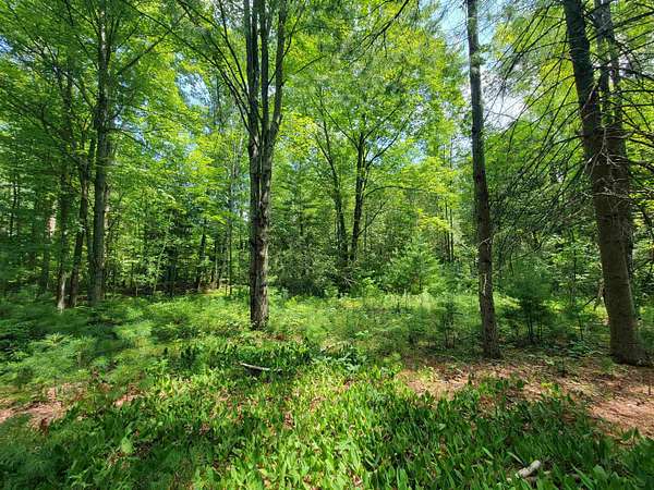 1 Acre of Residential Land for Sale in Beaverton, Michigan