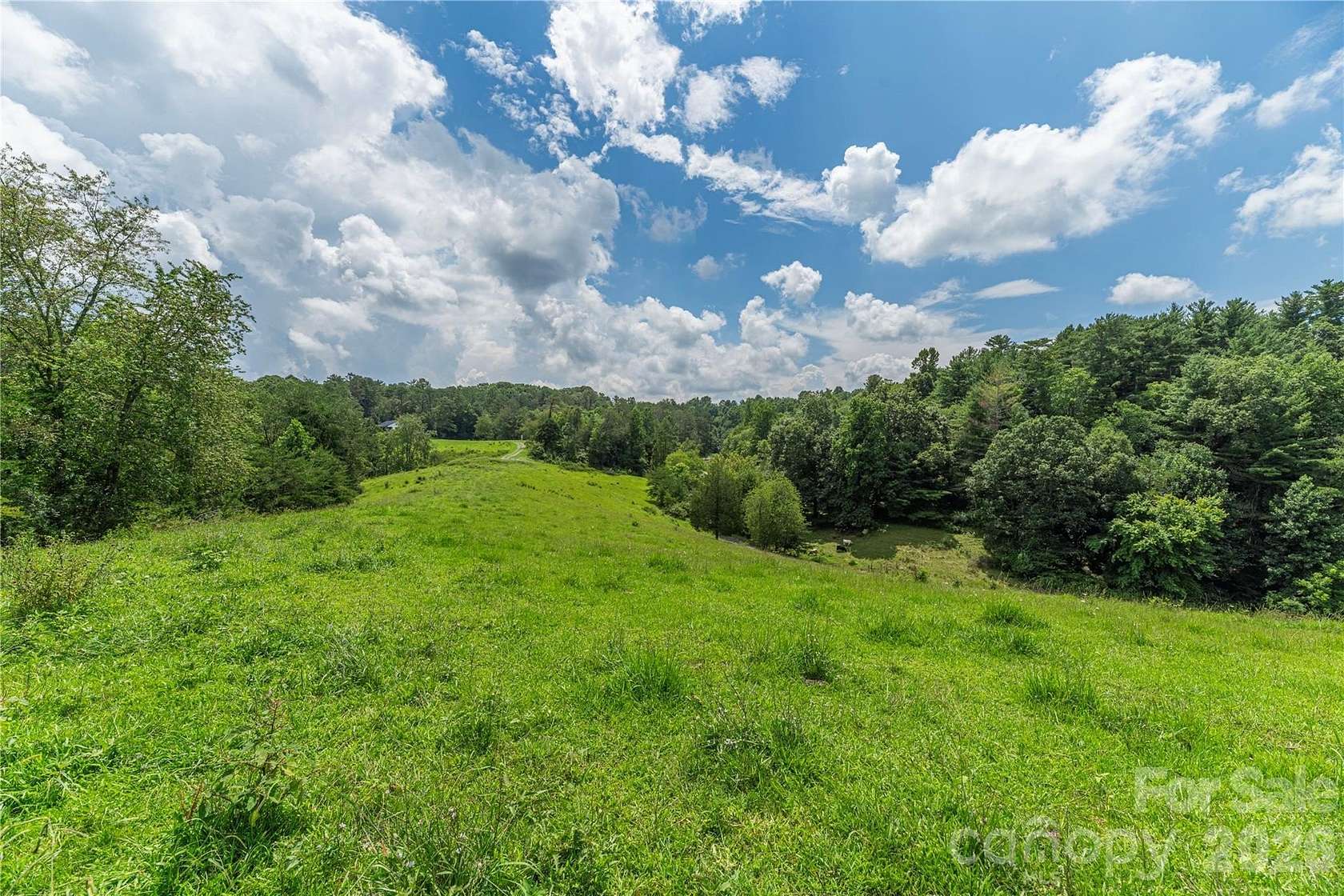 5.84 Acres of Land for Sale in Leicester, North Carolina
