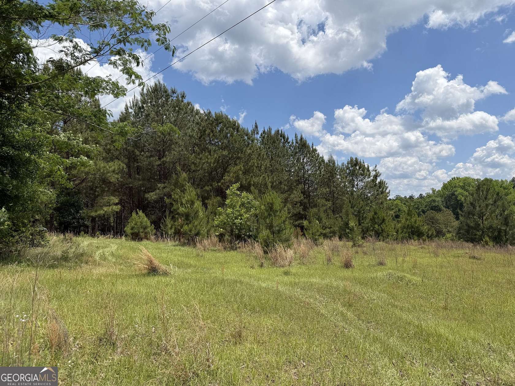 14 Acres of Recreational & Residential Land for Sale in Toomsboro, Georgia