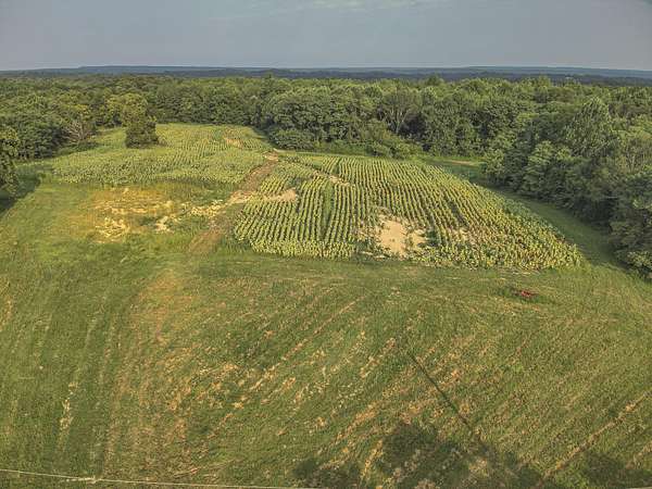 161 Acres of Land for Sale in Smithland, Kentucky