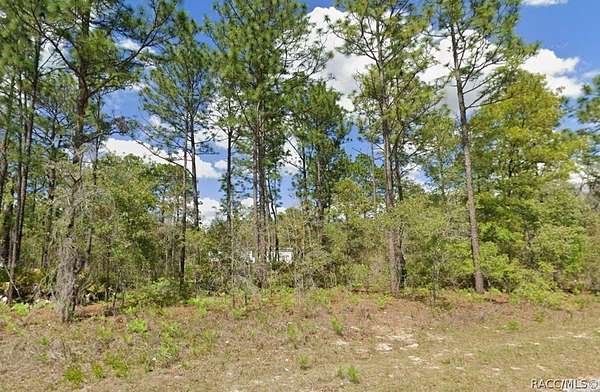 0.23 Acres of Residential Land for Sale in Dunnellon, Florida