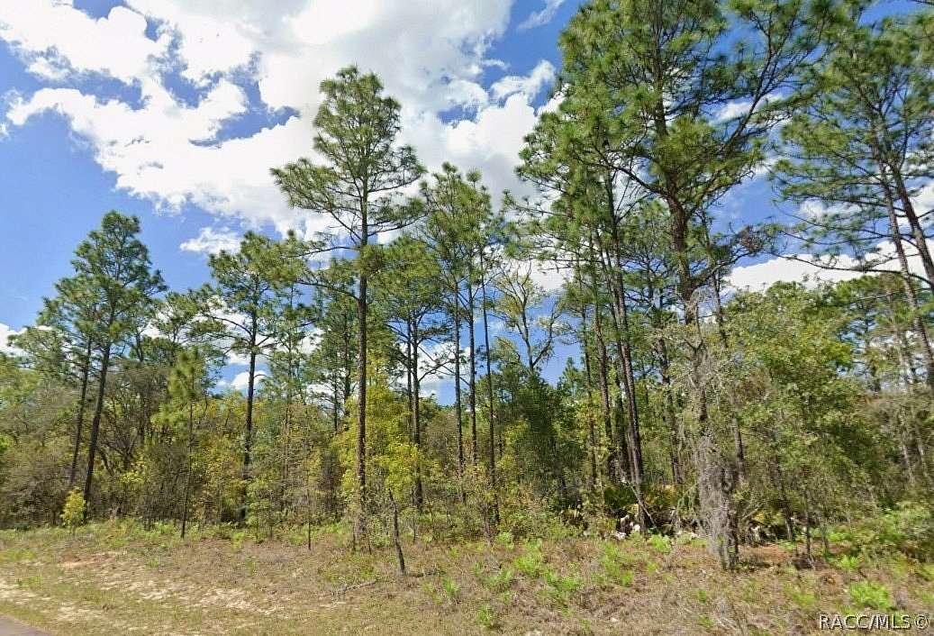 0.23 Acres of Residential Land for Sale in Dunnellon, Florida
