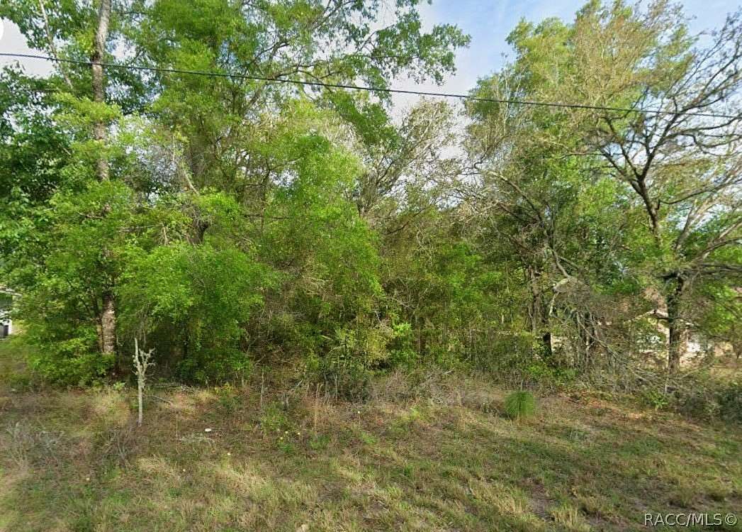 0.29 Acres of Residential Land for Sale in Dunnellon, Florida