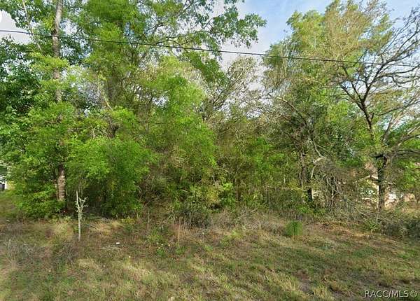 0.29 Acres of Residential Land for Sale in Dunnellon, Florida