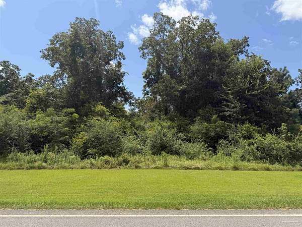 0.8 Acres of Mixed-Use Land for Sale in Walnut Hill, Florida