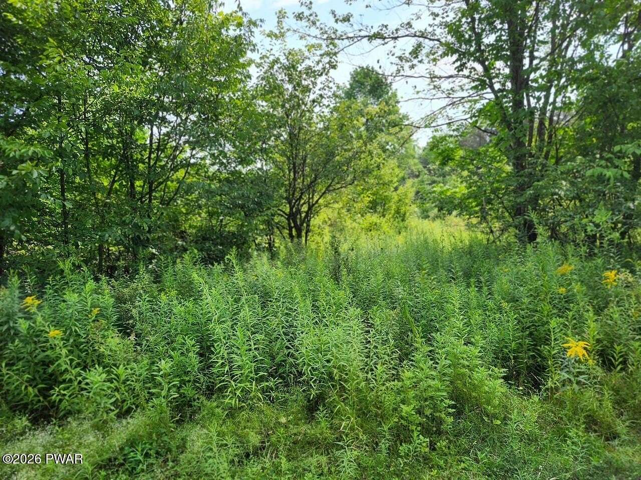 5.2 Acres of Residential Land for Sale in Equinunk, Pennsylvania