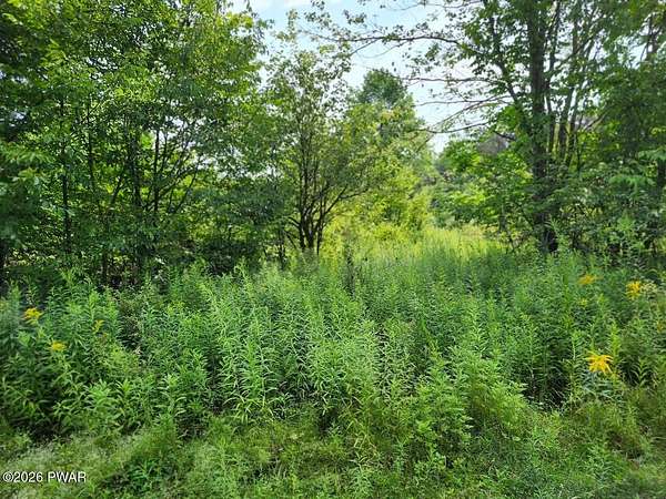 5.2 Acres of Residential Land for Sale in Equinunk, Pennsylvania