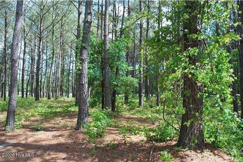 0.45 Acres of Residential Land for Sale in Calabash, North Carolina