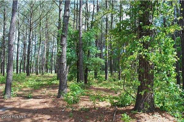 0.45 Acres of Residential Land for Sale in Calabash, North Carolina