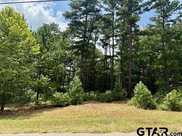 3 Acres of Land for Sale in Lindale, Texas