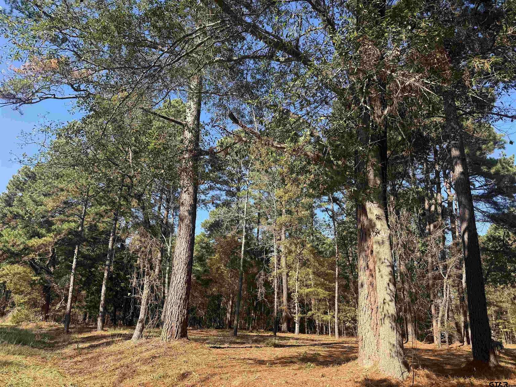 0.14 Acres of Residential Land for Sale in Bullard, Texas