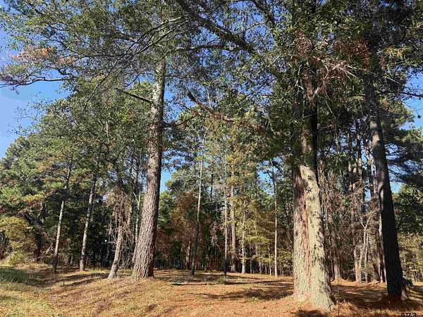 0.14 Acres of Residential Land for Sale in Bullard, Texas