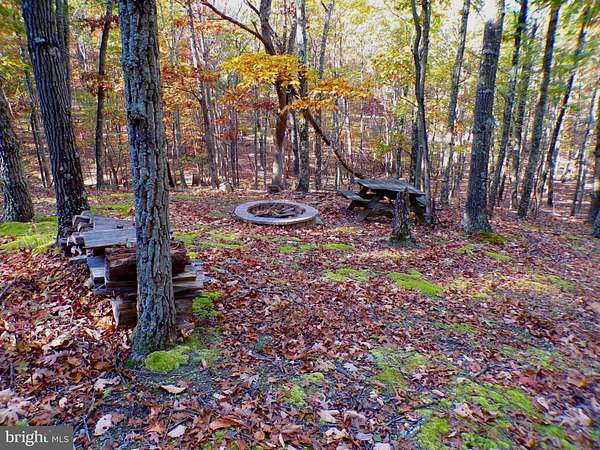6 Acres of Land for Sale in Springfield, West Virginia