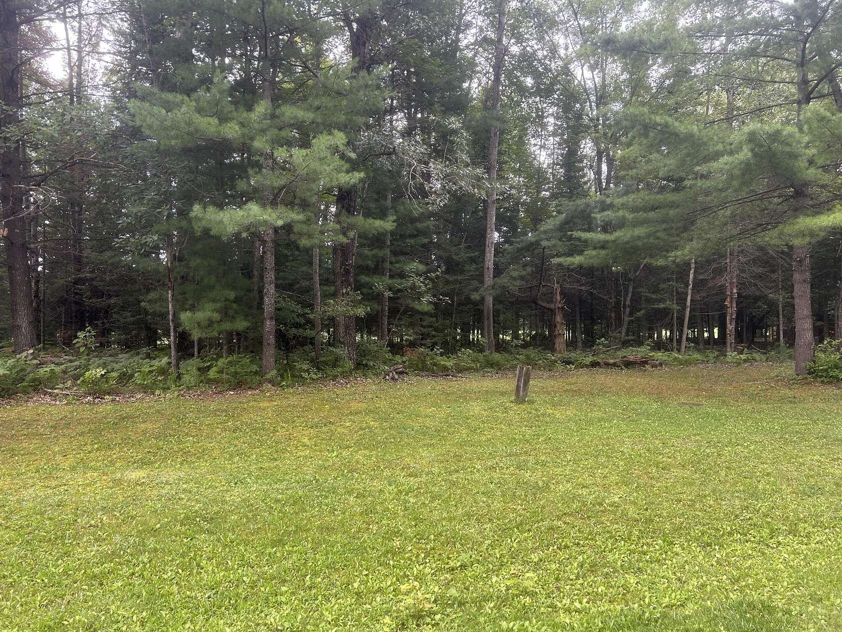 0.44 Acres of Residential Land for Sale in Hillman, Michigan