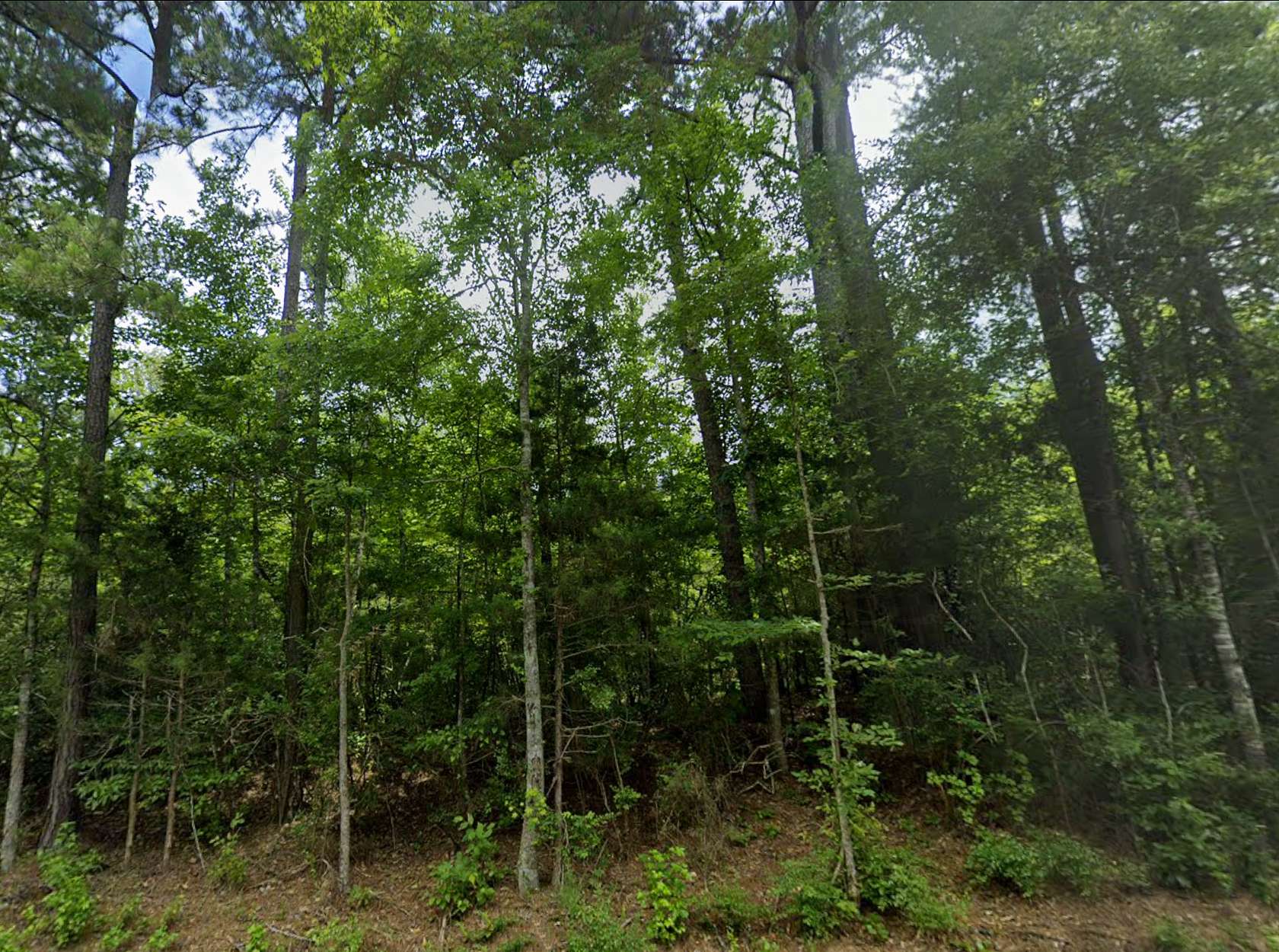 15 Acres of Recreational & Residential Land for Sale in Jonesboro, Louisiana